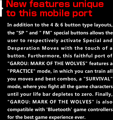 New features unique to this mobile port