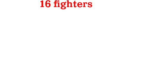 16 fighters clash!
